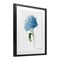 Stupell Industries Blue Hydrangea In Bloom Framed Print Under Glass, design by Danielle Murray